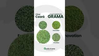  Transforme seu espaço com a Qually Grama! 