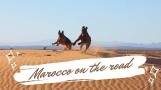 MAROCCO on the road - Viaggio a QUATTROZAMPE