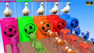 Paint & Animals Bear, Elephant, Cow, Tiger, Chicken, Fountain Crossing Transformation Animal Cartoon