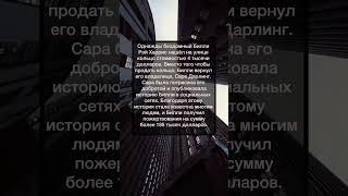 Интересный факт: душевная чистота притягивает добро и доверие, даже без слов. #истории #хочуфакты