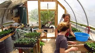 The Rain Harvesting Greenhouse [High Desert]