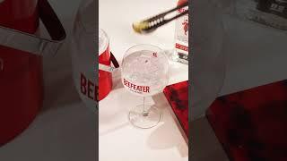 Beefeater Gin & Tonic │Classic Gin Cocktails