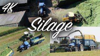 Silage 2018 - 4K