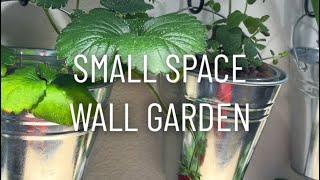 How I Made My Small Space Wall Garden