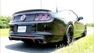 Cobra Codys Nasty BAMA Tuned 2013 Mustang GT 5.0