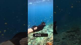 How to use a Lung Tank  #fyp #underwater #snorkeling #beach #diving #ocean #watersports