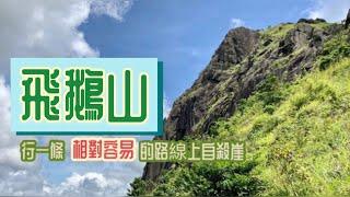 飛鵝山[香港行山郊遊好去處]經一條相對容易登上自殺崖的路線登頂 | 路線有幾難,視乎你揀條咩路線上山 | 五公里途程上飛鵝山打個轉|揀一條最短最易既路落山|挑戰性路線|市區郊遊路線|行山路線指南