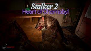 S T A L K E R  2  Heart of Chornobyl | Mutant Rat Spawn Rate |