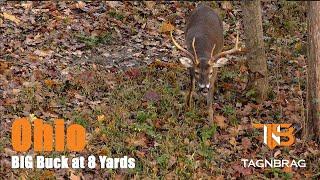 BIG Ohio BUCK at 8 Yards!