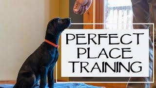 Free Shaping Place Training - Teach Your Dog To Get On Their Bed