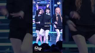 어서오세요~!️#아이브#레이#캐모마일티#리즈#장원영#박편계#박자편집#떡상해라제발#오늘생일#떡상떡상떡상떡상#알고리즘아사랑해#제발추천좀#추천추천추천추천추천추천추천#관리자님예뻐요