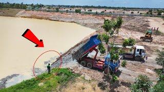 D60 Bulldozer MASTERING Pond Filling with Dump Truck Technique