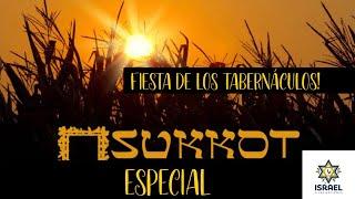  ESPECIAL DE SUKKOT, DESDE ISRAEL, (hoy mismo) fiesta de los Tabernáculos! #israel #hoy #