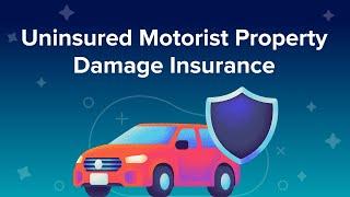 Uninsured Motorist Property Damage (UMPD) Insurance