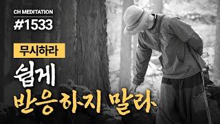 1533일 수행ㅣ의미 없는 것에 에너지를 쓰지 말라 ️무시하라 ️쉽게 반응하지 말라 팔정도 명상