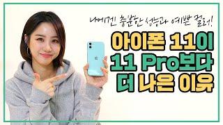 아이폰 11이 11 Pro보다 더 나은 이유?!