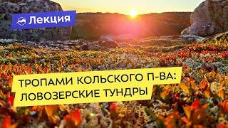 Тропами Кольского полуострова: Сейдъозеро, Ловозерские тундры