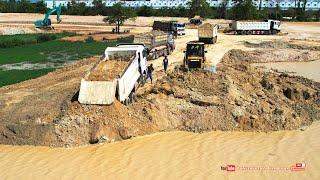 Incredible! SHANTUI DH17c2 Bulldozer Pushing Soil With Shacman Dump Trucks Dumping Soil In Water