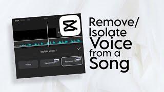 How to Remove/Isolate Vocals from a Song using CapCut