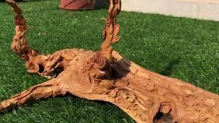 Sandalwood root carving #Artist +918769599896 #craft #thakurji #roots #sandalwoodcarving