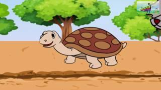 Moral stories for kids//hare and tortoise 2019 version