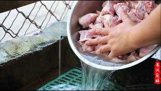 “穷人穷养，富人富养”喂狗吃生肉你所不知道的那些事\Advantages and disadvantages of feeding raw meat to dogs