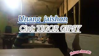 LAGU BATAK UNANG JAISHON  Cipt:TIGOR_GIPSY. COVER PARMITUUUU (LAPO LAMSIRMA)