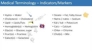 Medical Terminology - The Basics - Lesson 3