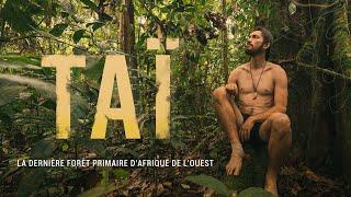 TAÏ - 33 jours de Survie dans la dernière JUNGLE PRIMAIRE d'Afrique de l'Ouest (Le film)