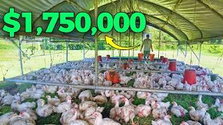 How I Scaled My Chicken Farm to a MILLION Dollar Business