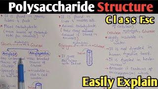 Polysaccharide Structure And Classification | Starch | Glycogen | Cellulose | Class 11 (Urdu/Hindi)