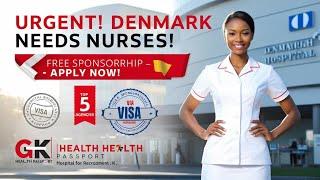 How to Become a Nurse in Denmark   Step-by-Step Guide + Top 5 Recruitment Agencies | Free Visa.” ￼