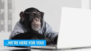 VIDBEES' COMPUTER REPAIR COMMERCIAL VIDEO: Monkey Business (Add Your Logo and Site)