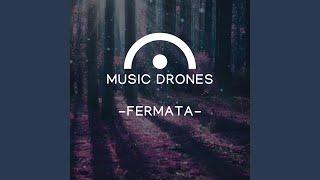 A Flat Drone: FERMATA