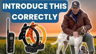 THE ONLY WAY You Should Put an E-Collar on Your Hunting Dog