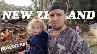 a week in the life of a NEW ZEALAND HOMESTEAD FAMILY (vlog)