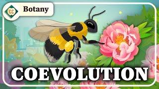 Why Do Flowers Exist? (Gymnosperms & Angiosperms): Crash Course Botany #9