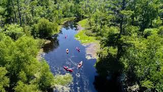 New Orleans Swamp Tour Guided kayak tour DRONE VIEW!