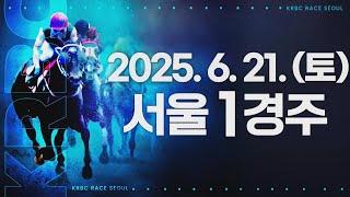 (서울) 2025.06.21 1경주