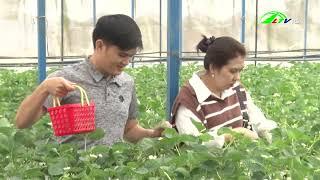 Khám phá vườn dâu tây lớn ngay trung tâm Đà Lạt
