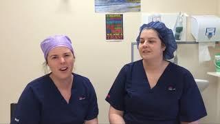 Far West LHD celebrates International Nurses Day 2019 - 2nd Video