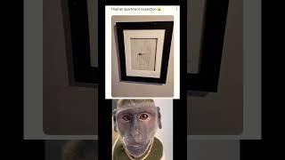 Ohiron funny Meme #shorts #memes #funny #viral #trending #ytshorts #respect