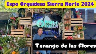 Expo Orquídeas Sierra Norte de Puebla 2024 #orquideas