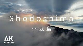 Shodoshima: Where Breathtaking Vistas Meet Cultural Delights