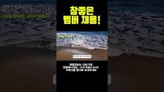 참좋은부동산tv 직원채용~!!! 마감시 오프!