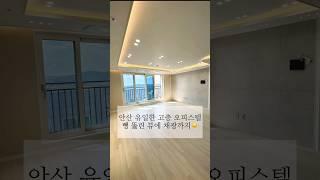 안산 유일한 고층 오피스텔 뻥 뚫린 뷰에 채광까지 ️| 상세내용 설명 참고 | (no.12034) #shorts