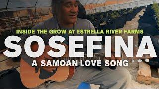 Sosefina (A Samoan Love Song Cover) - Inside The Grow at Estrella River Farms In Paso Robles, CA