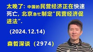 太晚了：中国的民营经济正在“快速死亡”，北京 急忙制定“民营经济促进法”. (2024.12.14) 《森哲深谈》