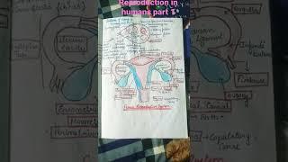 Biology notes for class 12th Reproduction In Humans #biology #neet #shorts @neetforever