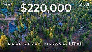  1320 Browning Rd, Duck Creek Village, UT | REE | ABC4 Utah's Real Estate Essentials